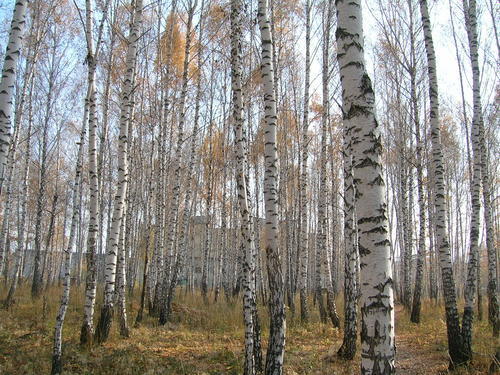 ¿Cuál es el futuro de los parques naturales en España?