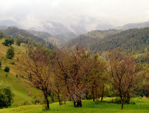 Parque Nacional del Archipiélago Toscano