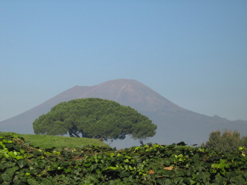 Parque Nacional del Vesubio